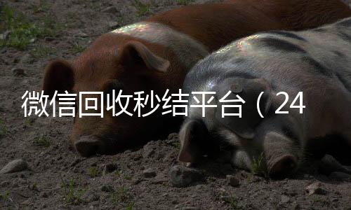 微信回收秒结平台24小时全天收购vx（24小时回收微信秒结平台）
